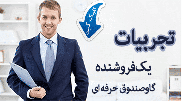 روش های فروش گاوصندوق